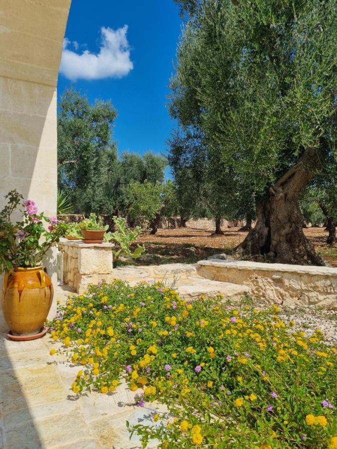 Trulli Di Spinaruta Bed & Breakfast กร็อตตาเย ภายนอก รูปภาพ